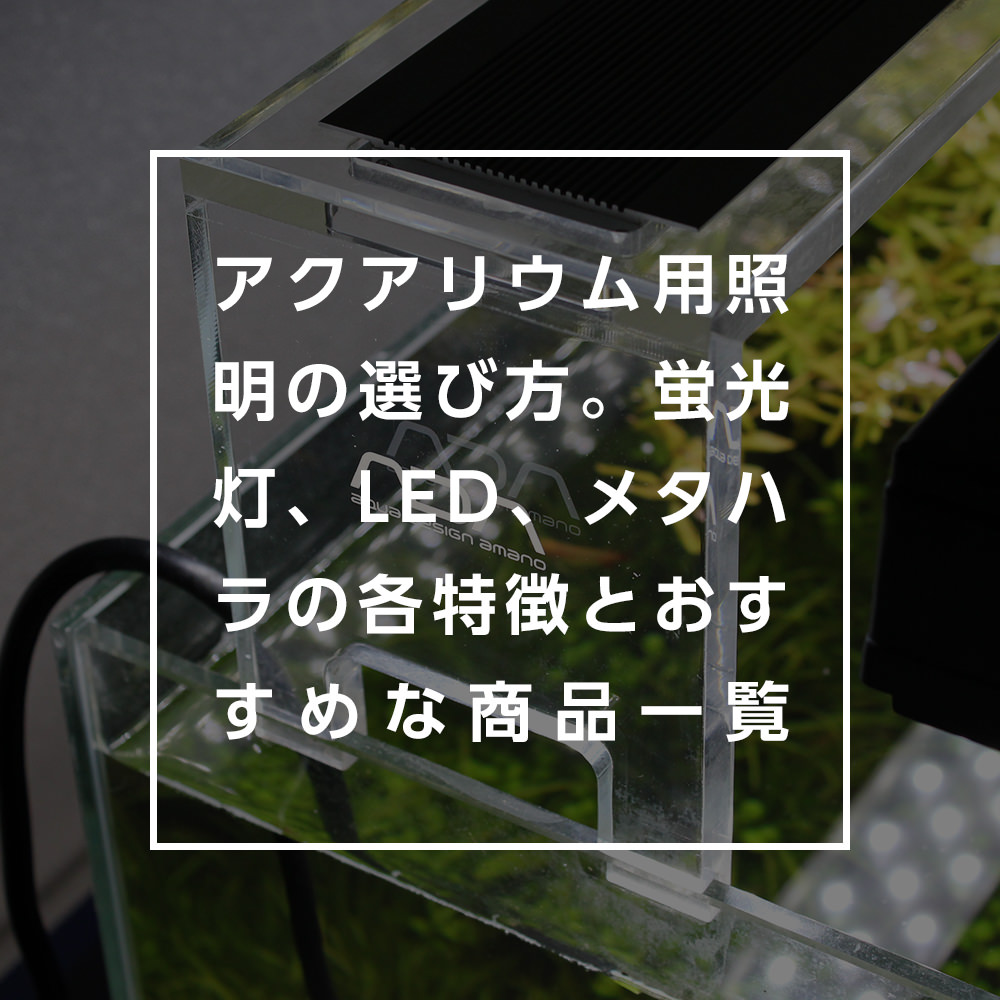 アクアリウム（水草・熱帯魚水槽）用照明の選び方。蛍光灯、LED、メタハラの各特徴とおすすめな商品一覧